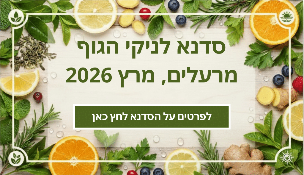 סדנא מרץ 2026